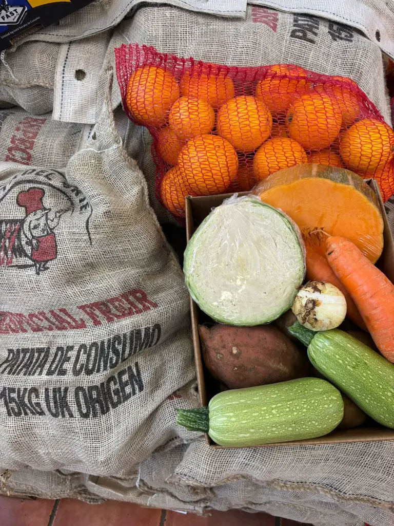 WhatsApp Image 2026-01-17 at 10.27.20 (1).webp