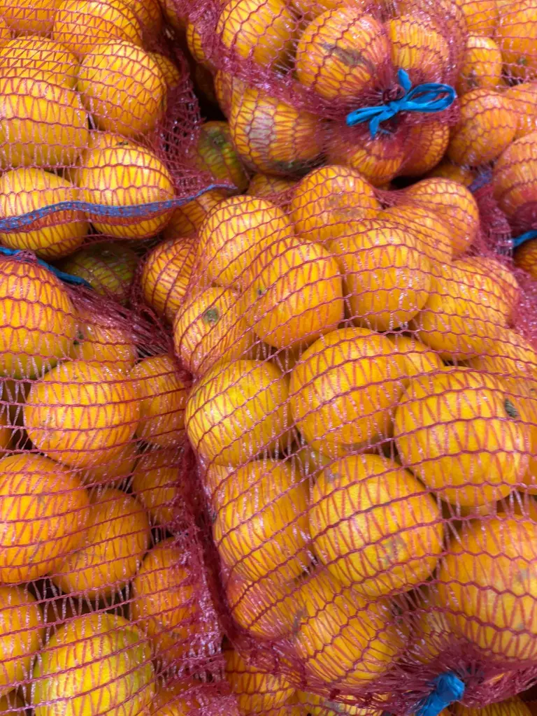 WhatsApp Image 2026-01-17 at 10.27.19 (2).webp