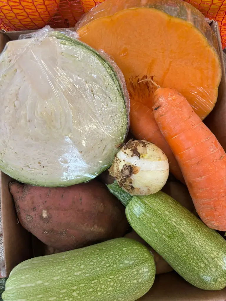 WhatsApp Image 2026-01-17 at 10.27.20.webp