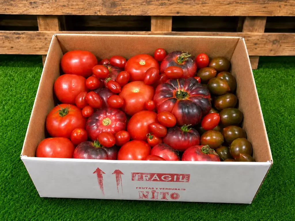 TOMATINITO