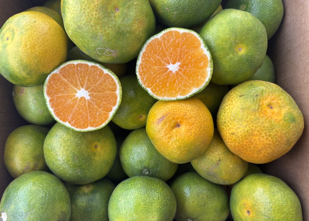 LAS MANDARINAS DE NITO