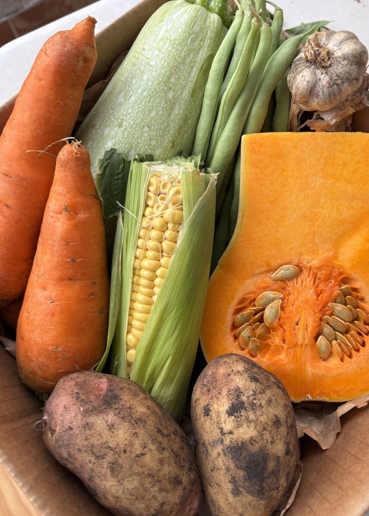 EL MINIPOTAJE DE NITO