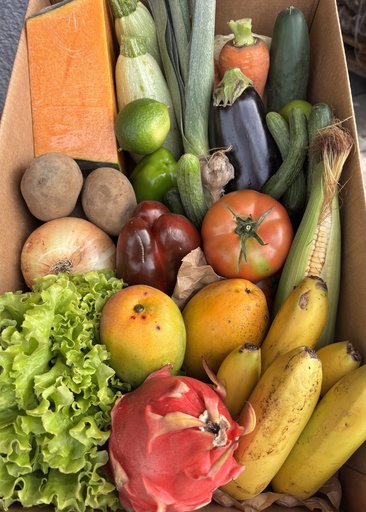 [PR/00634] MINI CAJA SANA