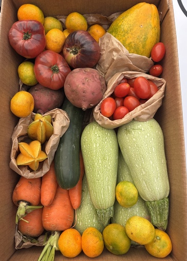 [PR/01294] TE LO MERECES