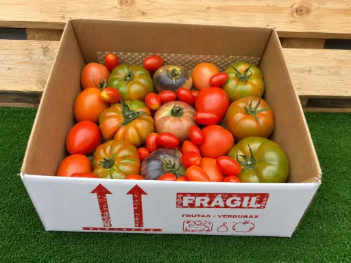 [PR/01299] TOMATINITO