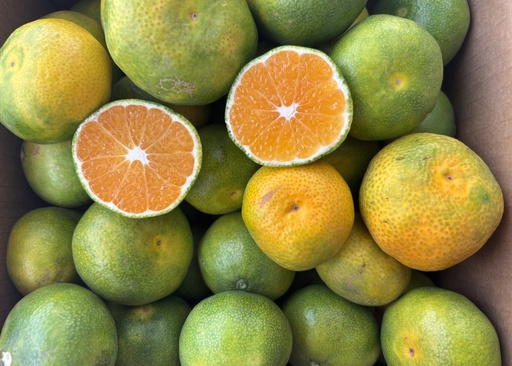 [PR/01300] LAS MANDARINAS DE NITO