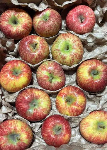 [PR/01398] TANBUENAS DEL NORTE