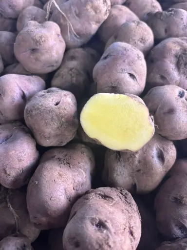 [PR/01416] PAPA NEGRA 2,5KG