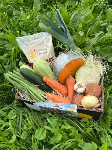 [PR/01499] 🎄 EL PUCHERO NAVIDEÑO