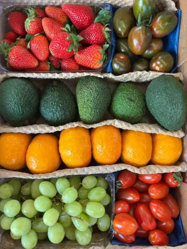 [PR/01946] LO MEJORCITO