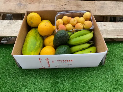 [PR/02140] FRUTI FRUTI