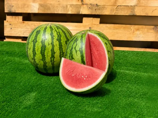 [PR/02263] SANDINITO X2