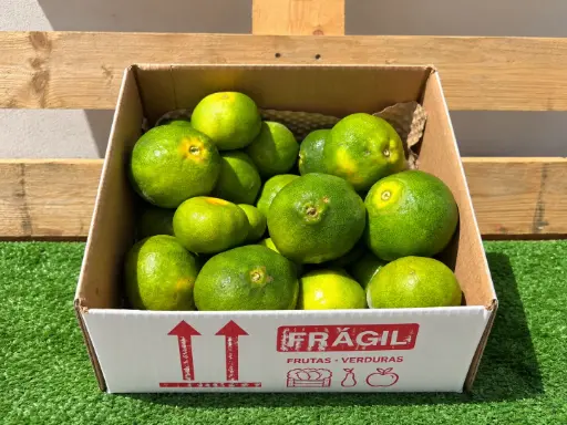 [PR/02467] MANDARINAS PAIS WEB